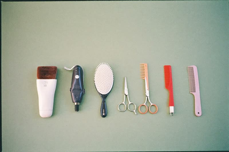 Grooming tools laid out ready for the next dog